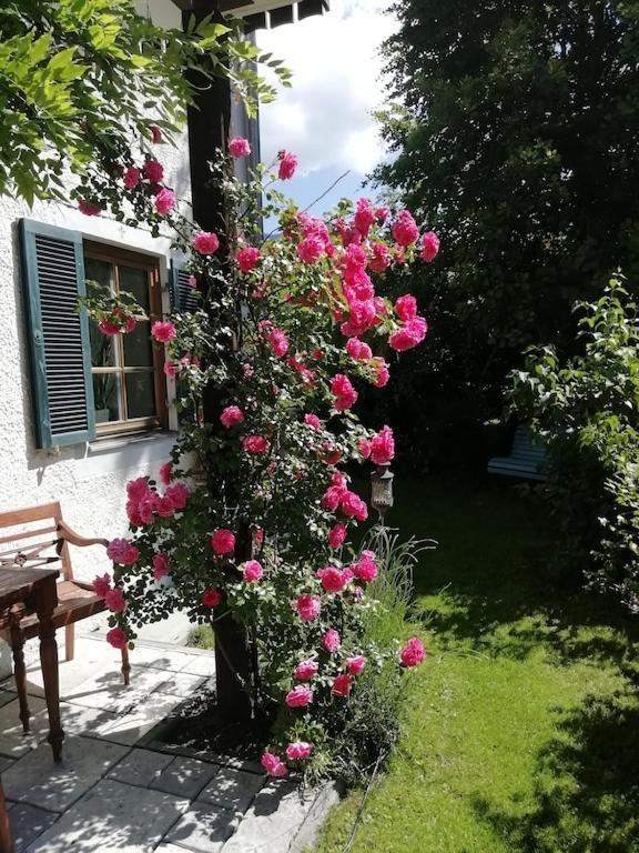 'Sissi' Ein Zaubehaftes Apartement Im Modernen Landhausstil Oberammergau Luaran gambar