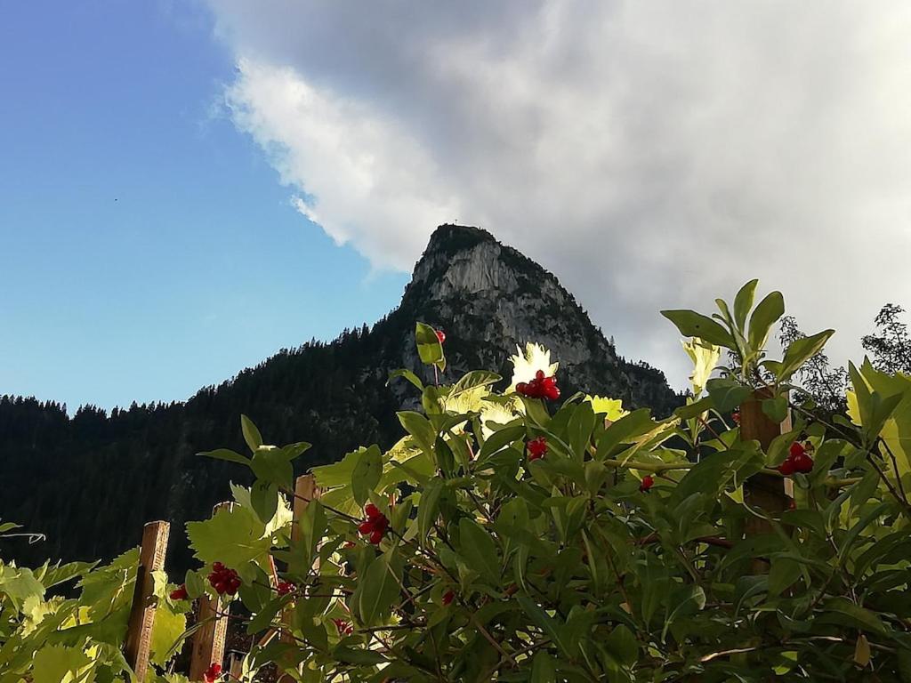 'Sissi' Ein Zaubehaftes Apartement Im Modernen Landhausstil Oberammergau Luaran gambar
